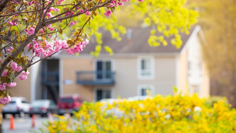spring home maintenance tips - home with flowers in front