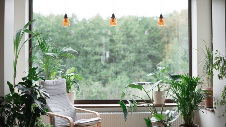 Eco Friendly home green self sustainable home renovations