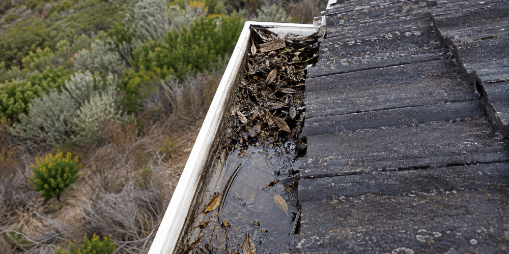 Gutter cleaning in a Cape Town home by Handyman Homes